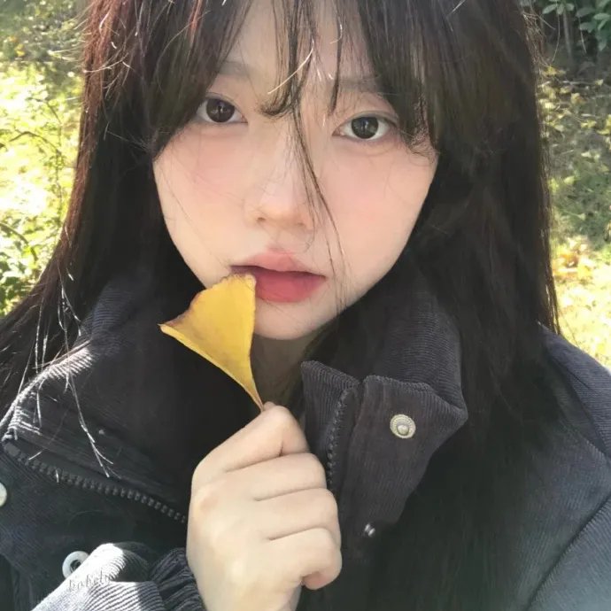面目全飞